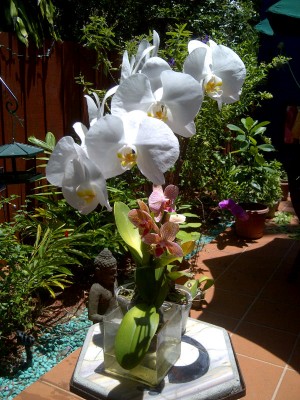 Flowers
